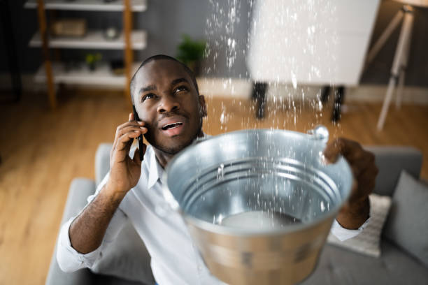 Best Local water damage restoration  in Preston, MN