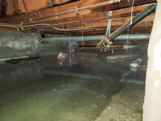 Best Emergency water damage restoration  in Preston, MN