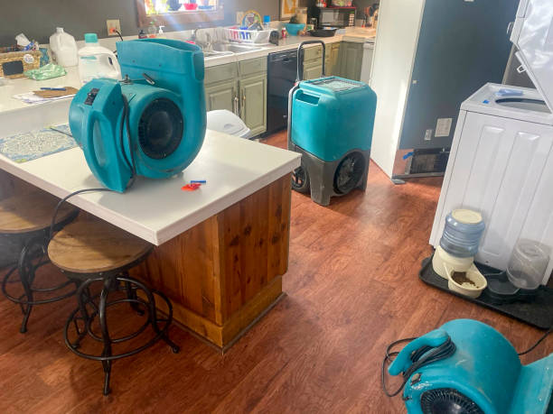 Best Basement water damage restoration  in Preston, MN