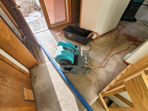 Best Water damage restoration near me  in Preston, MN
