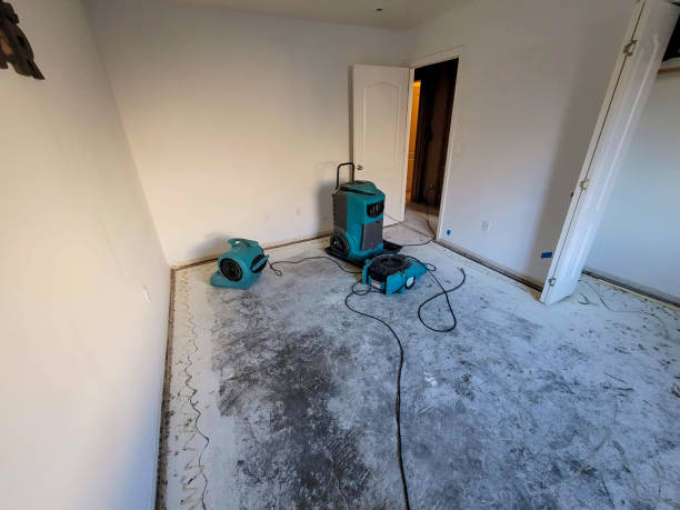 Best Carpet water damage restoration  in Preston, MN