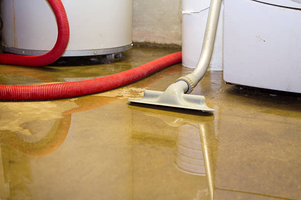 Best Carpet water damage restoration  in Preston, MN