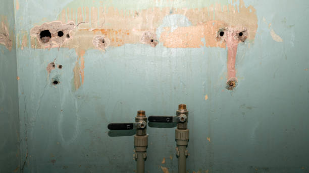 Best Local water damage restoration  in Preston, MN