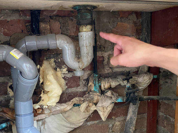 Best 24-hour water damage restoration  in Preston, MN