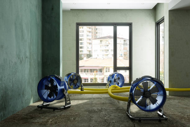Best Water damage restoration near me  in Preston, MN