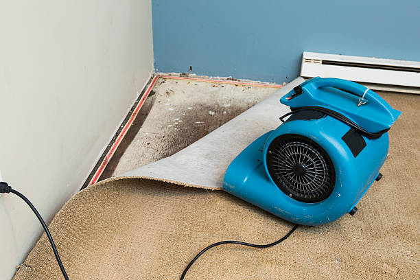Carpet water damage restoration in Preston, MN
