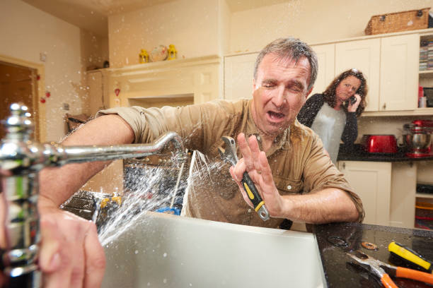 Best Fire Damage Restoration  in Preston, MN